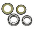 All Balls Steering Bearing & Seal Kit